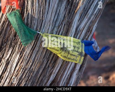 Gros plan des drapeaux de prière bouddhistes entourant un tronc d'arbre de genévrier à Amitabha Stupa et Peace Park à Sedona, Arizona.Photographié avec un peu profond Banque D'Images