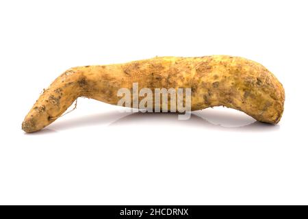 Yam bouilli isolé sur fond blanc Banque D'Images