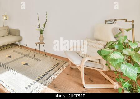 Fauteuil confortable avec coussin et fleur dans vase sur un petit fauteuil placé près de la moquette contre le canapé dans la salle de séjour lumineuse Banque D'Images