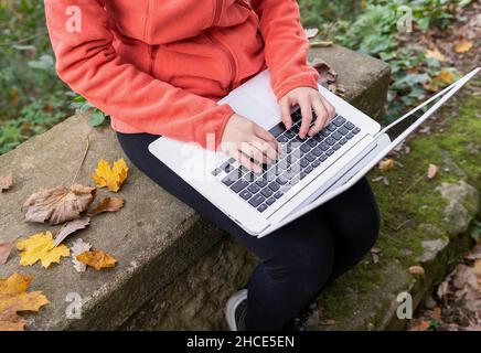 De dessus de crop anonyme femme dactylographiant sur netbook moderne tout en étant assis sur un banc de pierre avec des feuilles mortes pendant la randonnée dans les bois Banque D'Images