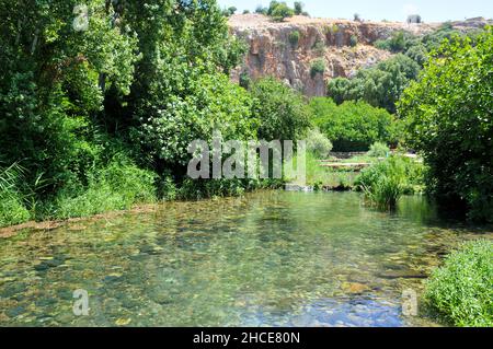 L'Hermon Stream réserve naturelle (Banias) Golan Israël Ce volet est l'une des sources du Jourdain Banque D'Images