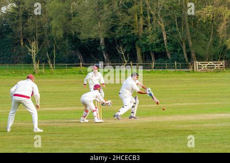 Match de cricket entre les villages du Derbyshire de Brailsford et Clifton sur le terrain de polo à Osmaston Derbyshire Banque D'Images