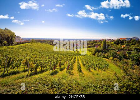 Zagreb zone verte. Église et vignoble sur colline verte au-dessus de la capitale croate, Zagreb, Croatie Diana Panzio Banque D'Images