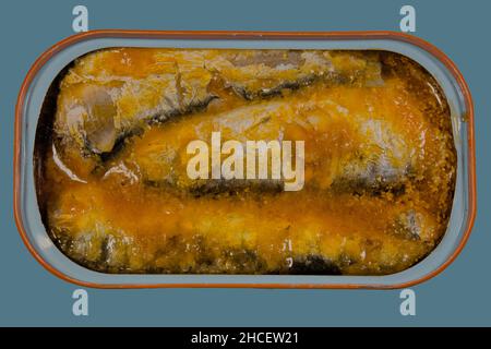 Conserves de sardines dans la sauce tomate Banque D'Images