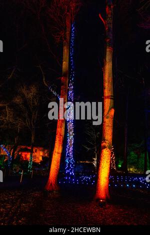 Spectacle de lumière de Noël à Dunham Massey Manchester 2021 Banque D'Images