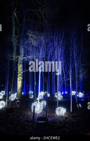 Spectacle de lumière de Noël à Dunham Massey Manchester 2021 Banque D'Images