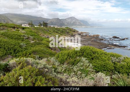 Vie depuis le chemin de la falaise, Hermanus, Western Cape, Afrique du Sud. Banque D'Images