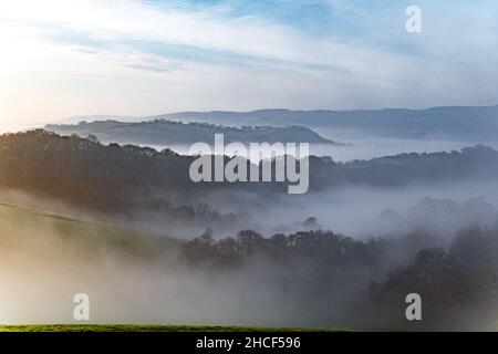 Royaume-Uni, Angleterre, Devonshire, Teign Valley.Brume matinale au-dessus de la vallée de Teign dans le sud du devon. Banque D'Images