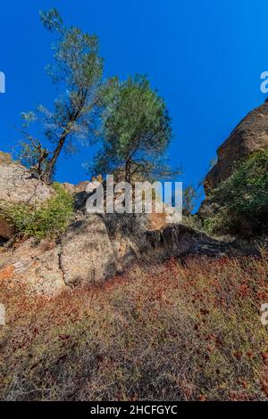 Pinnacles formations volcaniques, faites de brèche volcanique érodée, le long de High Peaks Trail dans le parc national de Pinnacles, Californie, États-Unis Banque D'Images