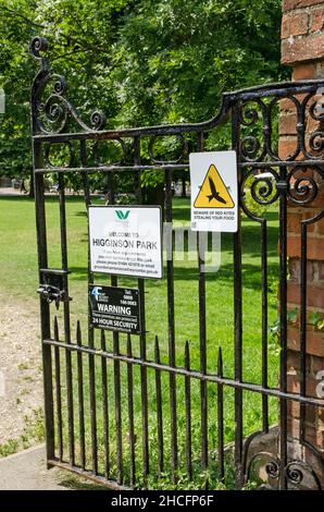Marlow, Royaume-Uni - 19 juillet 2021 : panneau d'avertissement concernant les cerfs-volants rouges au parc Higginson à Marlow, Buckinghamshire.Les oiseaux de proie mangent des charognes et occasionnellement Banque D'Images