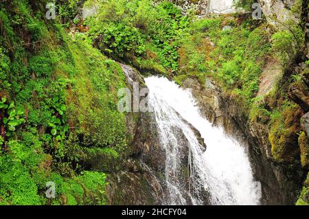 Après une pluie, une petite chute d'eau pluvieuse s'écoule d'une falaise dans une forêt d'été.Rivière Estyuba, Altaï, Sibérie, Russie. Banque D'Images