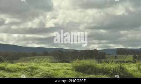 Champs et pâturages défriché sur les collines vallonnées de Kangaroo Valley, Nouvelle-Galles du Sud, Australie Banque D'Images