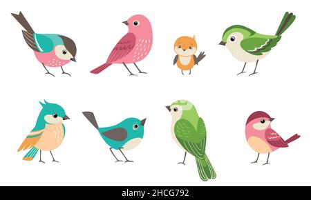 Groupe d'oiseaux de moineau de couleur et de taille différentes.Illustration d'oiseau à vecteur plat bleu sarcelle, turquoise, vert, rose et jaune, isolée sur blanc Illustration de Vecteur