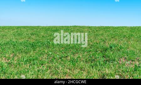 Herbe contre le ciel bleu.Arrière-plan pour les collages et l'art photographique Une bande d'herbe et une bande de ciel en gros plan.Maquette de campagne naturelle. Banque D'Images
