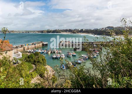 Des bateaux de pêche amarrés dans le pittoresque port de Newquay, dans les Cornouailles. Banque D'Images