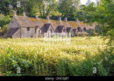 Lumière du soir tombant sur Arlington Row, 14th siècle weavers cottages dans le village de Cotswold de Bibury, Gloucestershire Royaume-Uni.Vue sur rack Isle. Banque D'Images