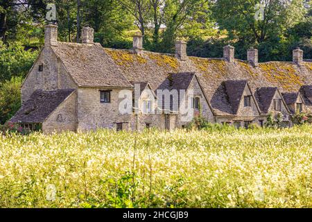 Lumière du soir tombant sur Arlington Row, 14th siècle weavers cottages dans le village de Cotswold de Bibury, Gloucestershire Royaume-Uni.Vue sur rack Isle. Banque D'Images