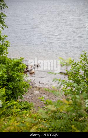 Glencoe Bay, au lac Ullswater, dans le lac Disrict, en Angleterre Banque D'Images