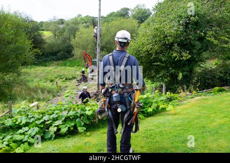 Des ouvriers de l'électricité travaillant avec l'équipement et de la digue de mise en place de la nouvelle ligne de poteau de service en été Carmarthenshire pays de Galles Royaume-Uni Grande-Bretagne KATHY DEWITT Banque D'Images