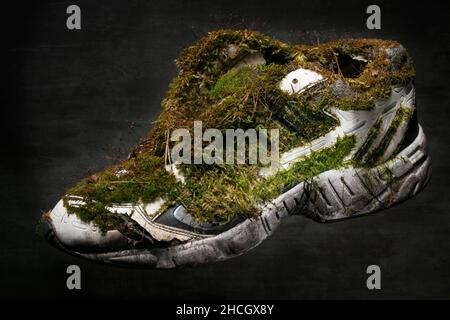 Ancienne sneaker recouverte de mousse.Chaussures en matériaux naturels. Banque D'Images