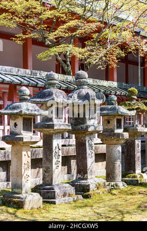 Rangée de lanternes en pierre de type Kasuga-doro éclairées par le soleil, toro, avec une vermilion qui se trouve derrière, le long de sando, à l'approche du sanctuaire Tamukeyama à Nara, au Japon. Banque D'Images