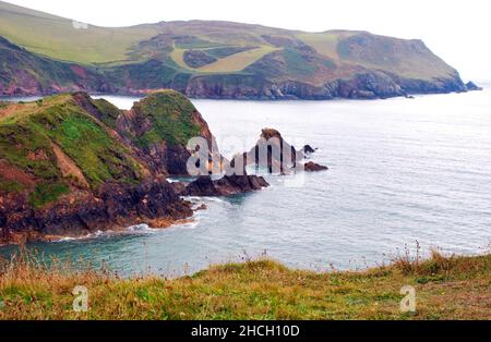 Paysage à Hope Cove, Devon Banque D'Images