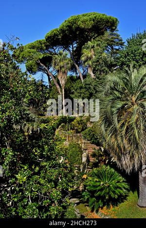 Parco Botanico di Palazzo Rocca - Parc botanique du Palazzo Rocca ville de Chiavari, Ligurie regione.Italie Banque D'Images