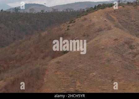 Frontière de la zone protégée dans l'Atlantique du Brésil forestier, un habitat fortement menacé, montrant la pression sur la forêt restante jusqu'à la clôture. Banque D'Images