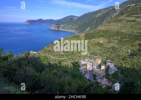 Vue sur le village, Manarola, province de la Spezia, Italie Banque D'Images