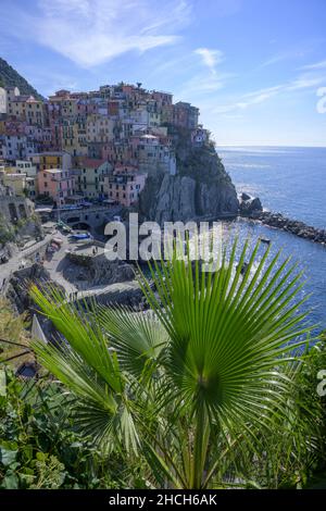 Vue sur le village, Manarola, Manarola, province de la Spezia, Italie Banque D'Images