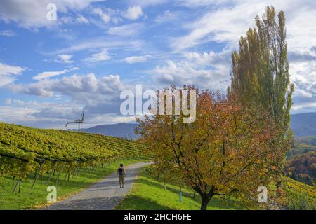 Randonnée pédestre sur la route latérale en direction de Klapotzz, Glanz an der Weinstrasse, Styrie, Autriche Banque D'Images