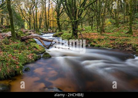 Golitha Falls, fleuve Fowey, Cornwall, UK ; Banque D'Images