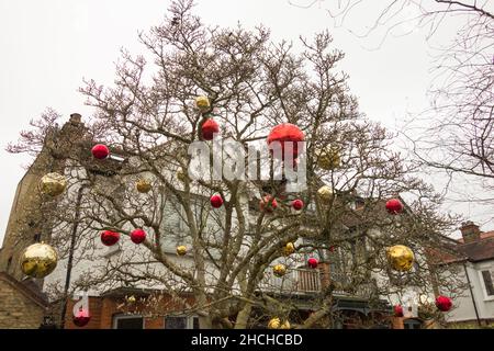 Grandes décorations de boules de Noël colorées accrochées à un arbre dans le jardin avant de quelqu'un Banque D'Images