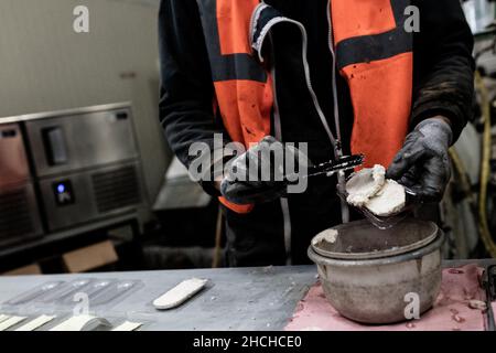 Photo du dossier datée du 20 octobre 2020 - UN homme recueille un putty mélangée à partir de betteraves sucrières à l'installation d'essai de l'ITB (Institut technique de la Beetroot). Laon, France. Le Conseil d'État a validé lundi l'autorisation temporaire d'utilisation des néonicotinoïdes pour les betteraves à sucre. Le décret du gouvernement sur cette question explosive, qui est opposé par les associations environnementales, n'est "contraire ni à la Constitution ni au droit européen", a déclaré l'institution. Photo de Dabiel Derajinski/ABACAPRESS.COM Banque D'Images