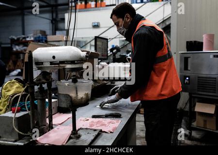 Photo du dossier datée du 20 octobre 2020 - UN homme recueille un putty mélangée à partir de betteraves sucrières à l'installation d'essai de l'ITB (Institut technique de la Beetroot). Laon, France. Le Conseil d'État a validé lundi l'autorisation temporaire d'utilisation des néonicotinoïdes pour les betteraves à sucre. Le décret du gouvernement sur cette question explosive, qui est opposé par les associations environnementales, n'est "contraire ni à la Constitution ni au droit européen", a déclaré l'institution. Photo de Dabiel Derajinski/ABACAPRESS.COM Banque D'Images