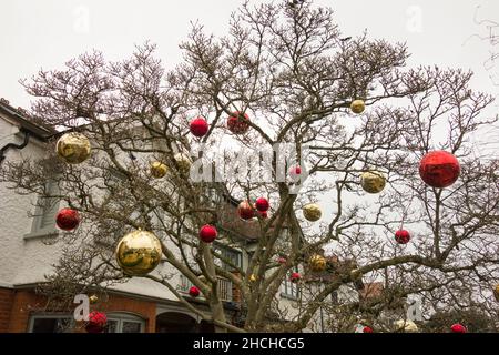 Grandes décorations de boules de Noël colorées accrochées à un arbre dans le jardin avant de quelqu'un Banque D'Images