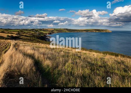 Portscatho; région agricole de Curgurrell; Cornwall; Royaume-Uni Banque D'Images