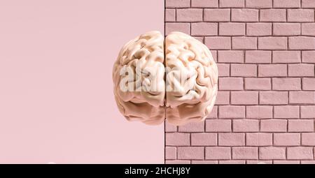 Cerveau humain contre un mur de briques, image conceptuelle du féminisme et des droits de la femme Banque D'Images