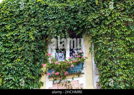 GIVERNY, FRANCE - 31 AOÛT 2019 : c'est une fenêtre pittoresque sur la façade verte d'une maison de village. Banque D'Images