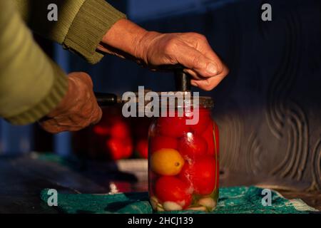 Gros plan d'une femme âgée qui préserve la tomate Banque D'Images