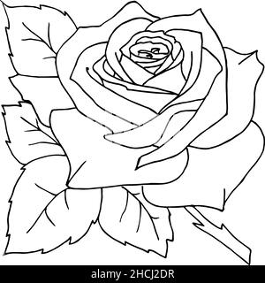 dessin isolé avec contour noir de fleur de rose Illustration de Vecteur