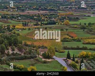 Vue panoramique sur la vallée rurale du Luberon près du village Gordes en Provence, France avec magnifique vignoble de feuilles colorées entouré d'arbres. Banque D'Images