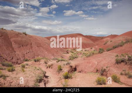 Vue depuis Tiponi point, des terrains désertiques peints et arides au parc national de la forêt pétrifiée, dans le nord-est de l'Arizona, aux États-Unis Banque D'Images