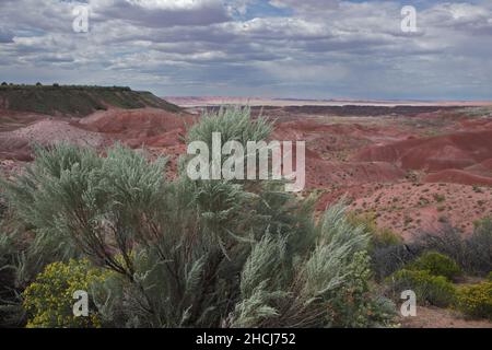 Vue depuis Tiponi point of the aride Barren Painted Desert badlands au parc national de la forêt pétrifiée dans le nord-est de l'Arizona, États-Unis Banque D'Images