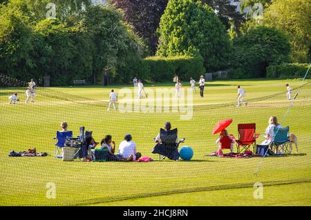 Match de cricket sur vert, Oxted, Surrey, Angleterre, Royaume-Uni Banque D'Images