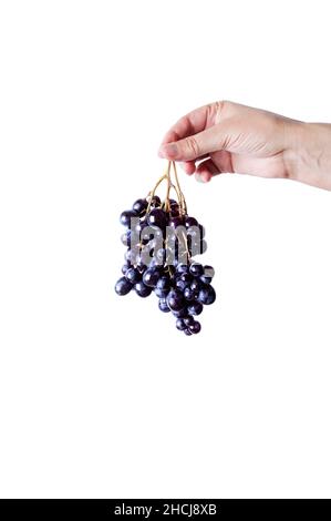 photographie de la vie de raisin Banque D'Images