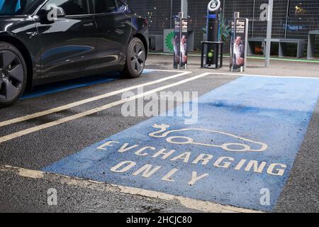 Logo EV peint sur la baie de stationnement pour le point de charge EV fourni par BP Pulse Londres Angleterre Banque D'Images