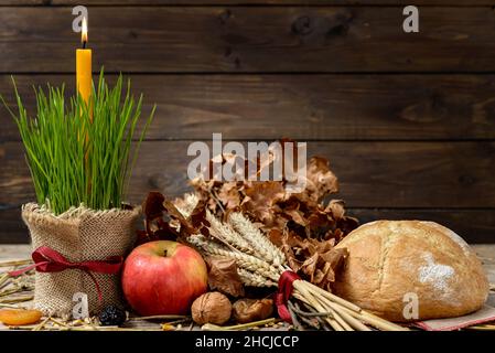 Yule log ou badnjak, pomme, céréales, fruits secs et une bougie en feu de blé vert sur une table en bois.Concept célébration orthodoxe Noël. Banque D'Images