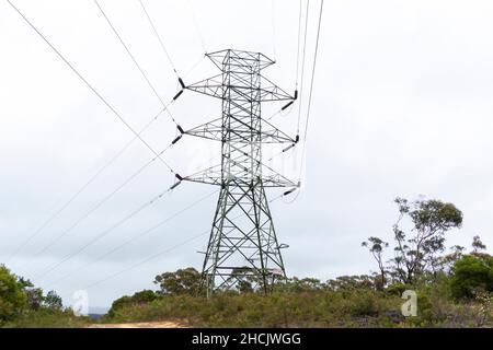 Photographie d'une grande tour de transmission électrique en acier près d'une route de terre dans une forêt contre un ciel gris nuageux Banque D'Images