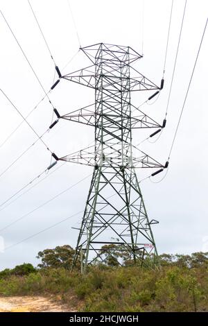 Photographie d'une grande tour de transmission électrique en acier près d'une route de terre dans une forêt contre un ciel gris nuageux Banque D'Images